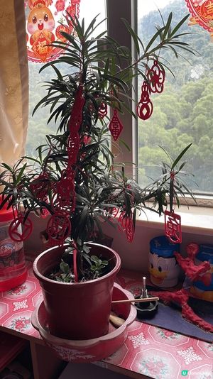 這是每年農曆新年都會有的年宵攤檔打卡位，有應節的花蕊及應節的