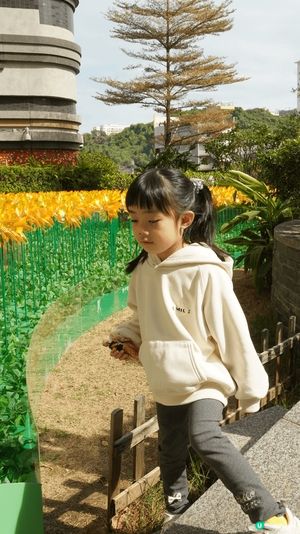 由1月20日至3月11日，以傳統車公廟風車文化為靈感，變身超