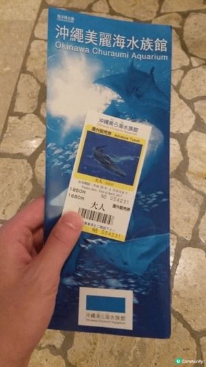 沖繩必打卡！沖繩美麗海水族館，全球最大級別嘅巨型水族館！
有