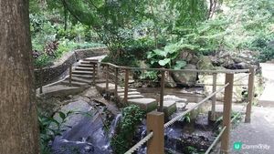 香港嘉道理農場，非常適合親子遊或大自然愛好者，可以觀察多種被