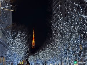 灣景酒店自助餐好食，多選擇，更有靚靚燈飾在食自助餐一邊食一邊