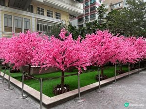 每年農曆新年利東街都好有年味,今年也不利外,門口先有巨大嘅｢