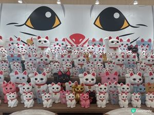 新年逛商場時發現有大量野生的招財貓出沒！很有意頭而且好可愛！