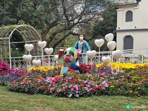 Woo... 得半天時間，又想增長知識
去尖沙咀九龍公園入面