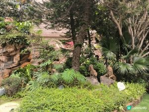 陽光普照，綠草如茵，在假期中可以到挪亞方舟一遊，心情真的感到