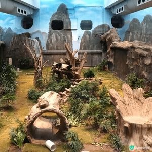 我最喜歡去海洋公園，主打海洋生態、水族館、熊貓館、威威天地、