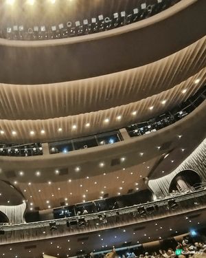 大小同樂🎵原創音樂劇《鹹魚肉餅豬仔包》