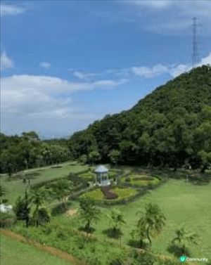 第一張太平山山頂，可以由山頂望下整個香港景色，由其晚上夜色更