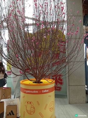 各位朋友一定品嚐過卡樂B薯片！農曆新年期間，東薈城名店倉與日