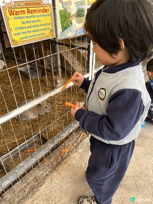 去元朗菠蘿園遊玩，園內有羊、羊駝🦙，還有很多遊樂設施，小孩
