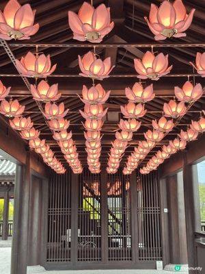 這張相是位於慈山寺，這裏寧靜而莊嚴的寺可以適合遊客祈福。
