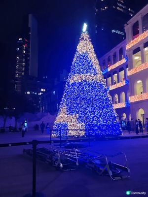 聖誕節時大館美麗的聖誕樹，平日大館亦好值得大家一去參觀昔日的