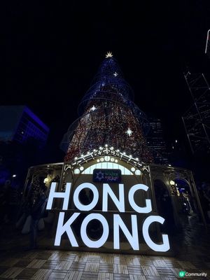 聖誕節，或是冬日好氣氛活動，莫過於四處睇醉人既聖誕樹同燈飾，