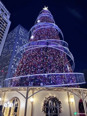 睇廣告見中環有大型的聖誕裝飾，所以特地過去睇吓，周圍都好多人