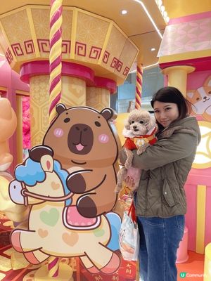 假日同我隻汪汪肥妹去左Mikiki 影靚靚相❤️
新年氣氛滿