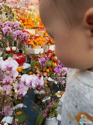 第一次帶BB去花市，選擇咗去葵芳。葵芳花市係喺葵涌運動場，推