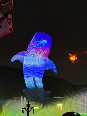 First time 一家人珠海長隆👶 虎鯨show勁好睇