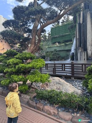 帶仔仔去南蓮園池打卡，真係好啱親子散步放空，又唔怕迫。南蓮園