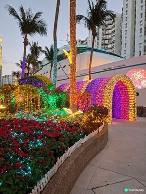 黃埔天地 [幸福園定桃花源]🌸, 利用色彩繽紛嘅花燈 和無