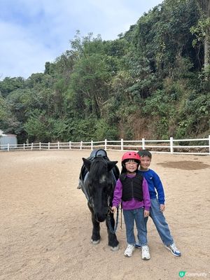 星期日去了大埔鳳園路蝶豆花園，最特別之處可以給小朋友體驗騎馬