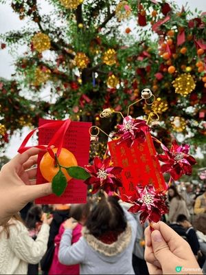 過年梗係要去林村許願樹襯吓熱鬧，另外仲有好多打卡飲飲食食攤檔