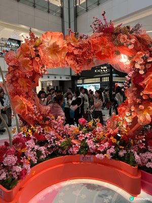 今年農曆新年去咗幾個商場逛逛，覺得新城市廣場佈置得很美，而花