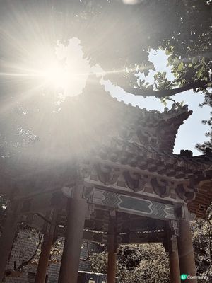 最近去了一級歷史建築的景賢里。這個跨世紀的豪華大宅，裏面充滿