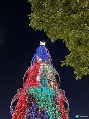 中環皇后像廣場洋溢着濃濃既聖誕氣氛，七彩變幻既聖誕樹，成為左