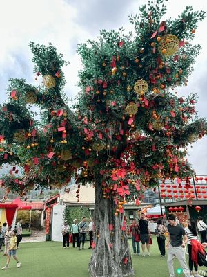 新年其中一個要去行個大運嘅地方，就係大埔林村「許願樹」，除咗