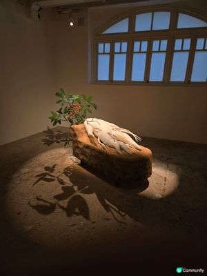 油街實現，這個展覽的主題已轉換了，這地點不停會有展覽，雖然較