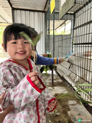 今次想介紹錦田鄉村俱樂部，是次活動由學校帶我哋去玩，可以BB