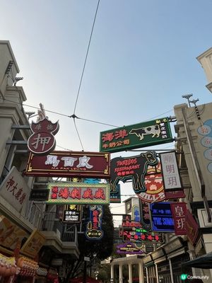 這裏全部都是海洋公園相
景觀優美
纜車超好
社群三月快閃送