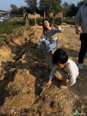 錦田鄉村俱樂部，耕種親子活動 
社群三月快閃送