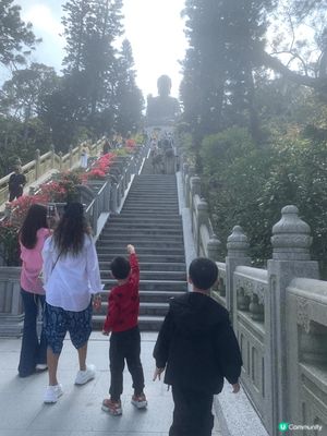 天壇大佛不僅是一個世界知名的拍照景點，更是一個能讓所有人體驗