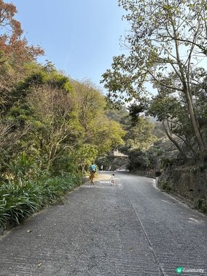 我覺得嘉道理農場好適合親子活動，因為佢可以行山，另外亦都可以