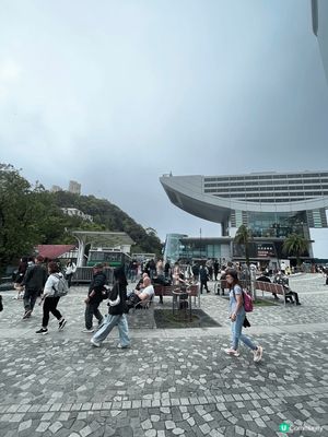 景點位於香港太平山山頂，有壯觀的景建築物，能夠觀看香港維多利