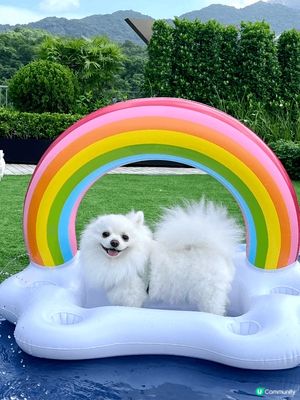 拍攝地方係西沙go park 
最大既賣點除左係唔同運動既場