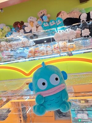 最喜歡去海洋公園可以看可愛的大熊貓，及玩機動遊戲，風景亦很優