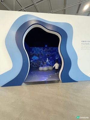 誠意推介香港藝術館博物館，非常休閑，滿滿藝術氛圍，隨處都係打