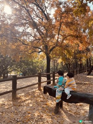 南丫島香草園：basil tea老幼適合，進入點滿自然艾草的