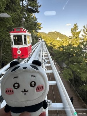 釜山有好多值得打俾咭的地方，最喜歡甘川文化村和坐小火車！打咭