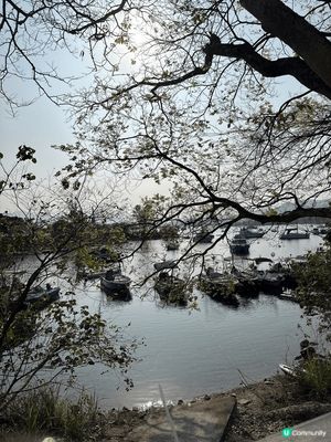 天氣好可以去下大尾篤堤壩行下影下相，打下卡，真係幾relax