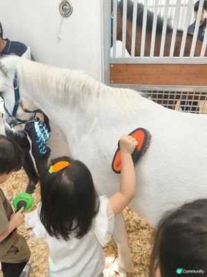 🐴 景點與活動介紹
地點： 沙田馬場 / 跑馬地馬場（視