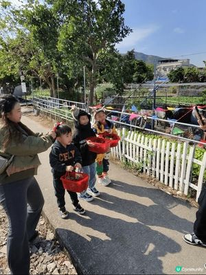 分別是朗屏士多啤梨葡萄園及沙田新城市廣場恐龍公園，士多啤梨即