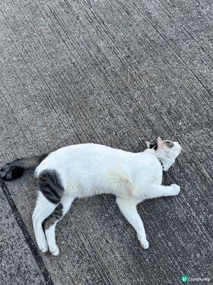 Weekend大尾篤一日遊😗去咗馬屎洲行山，再踩單車去BB