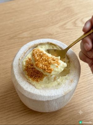 我同海豚妹一向都好鍾意食【茶大椰】🥥✨，啱啱考完試，當然要