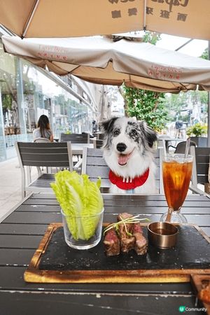 Mikiki地下西班牙餐廳Tapas Brew不單寵物友善，