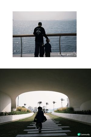 未生之前間中會黎cyberport野餐🧺放🐶
上次黎影