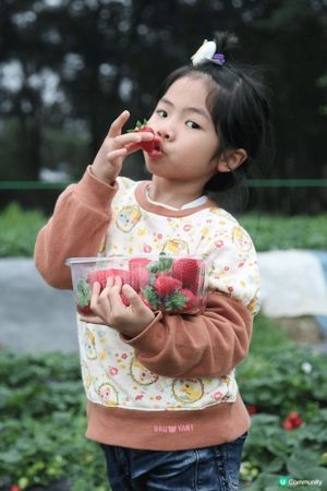 位於錦田水頭村的錦田鄉村俱樂部佔地100萬平方尺，親親大自然