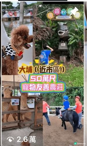 推介地方：大埔蝶豆花園 原因：比較少數毛孩可以接觸多種動物的